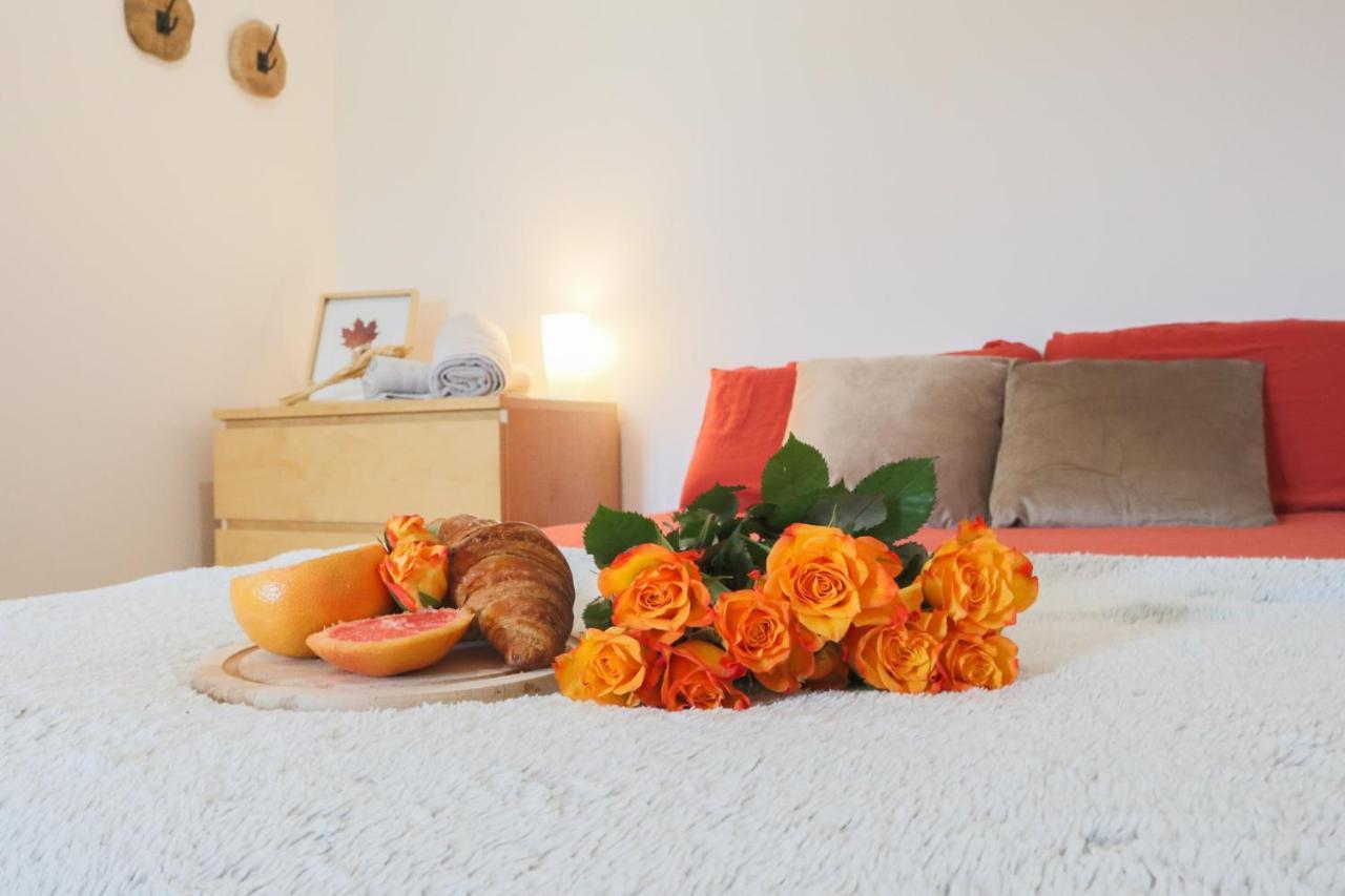 Le Cocon, Paisible & Doux Apartment Wahlbach Ngoại thất bức ảnh